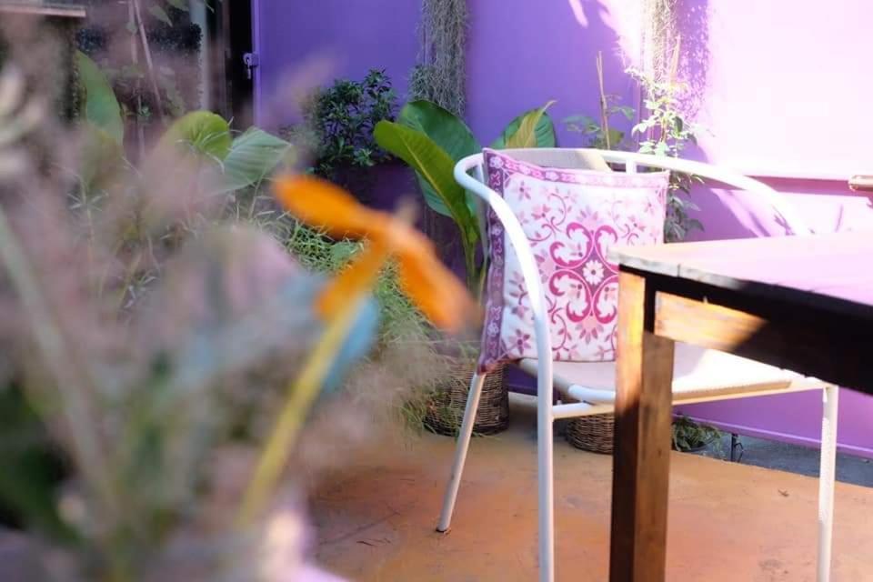 Paapu House Bed & Breakfast Чиангмай Екстериор снимка